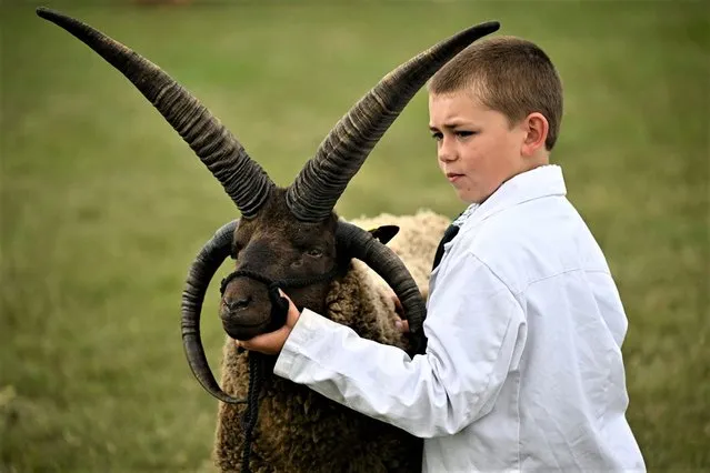 Nine-year-old handler Charlie, stands with a Manx Loaghtan sheep on the first day of the Great Yorkshire Show in Harrogate, northern England on July 11, 2023. The agricultural show, which was first held in 1838, showcases all aspects of country life. Organised by the Yorkshire Agricultural Society (YAS), it is held each July and attracts around 140,000 visitors over the four days. (Photo by Oli Scarff/AFP Photo)