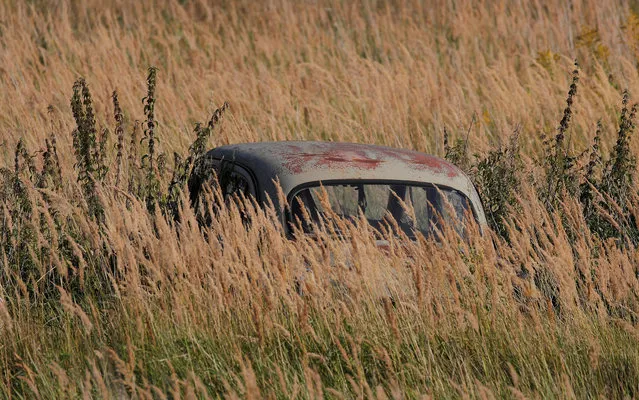 A retro car owned by retired mechanic Krasinets is seen in the tall grass at an open-air museum of Soviet-era vehicles in the village of Chernousovo, Tula region, Russia on September 27, 2018. (Photo by Maxim Shemetov/Reuters)