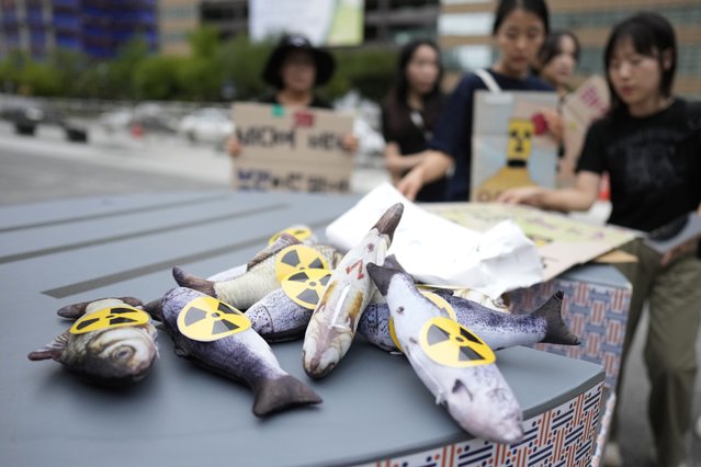 Mock fishes are placed before a rally to demand the stop of the Japanese government's decision to release treated radioactive water into the sea from the damaged Fukushima nuclear power plant, in Seoul, South Korea, Thursday, August 24, 2023. (Photo by Lee Jin-man/AP Photo)