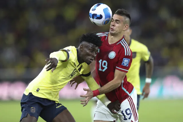 Ecuador's Jhoanner Chavez, left, and Colombia's Rafael Santos Borre, fight for the ball during a qualifying soccer match for the FIFA World Cup 2026 at the Rodrigo Paz Delgado stadium in Quito, Ecuador, Tuesday, October 17, 2023. (Photo by Patricio Teran/AP Photo)