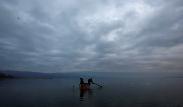 Fishermen collect their catch from a net at Dojran Lake, Macedonia, January 4, 2017. (Photo by Ognen Teofilovski/Reuters)