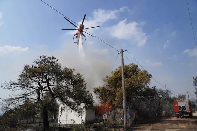 A helicopter drops water on a house during a wildfire in Thea area some 60 kilometers (37 miles) northwest of Athens, Greece, Thursday, August 19, 2021. A major wildfire northwest of the Greek capital devoured large tracts of pine forest for a third day and threatened a large village as hundreds of firefighters, assisted by water-dropping planes and helicopters, battled the flames Wednesday. (Photo by Thanassis Stavrakis/AP Photo)