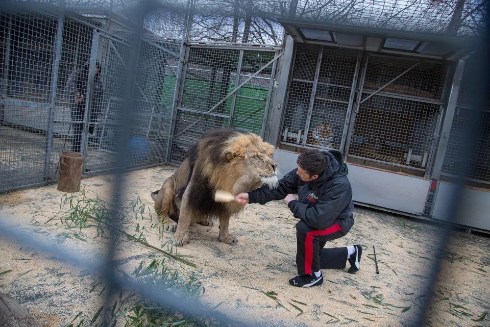 Sony World Photography Awards 2016, Part 2