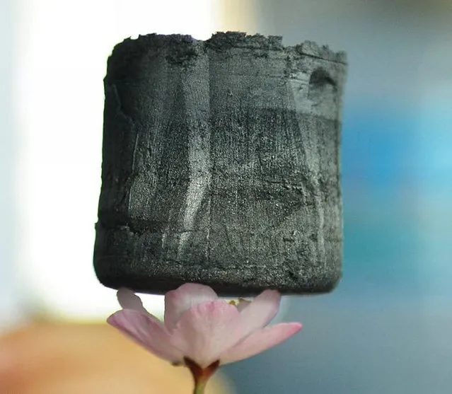 Carbon Aerogel The New Lightest Material