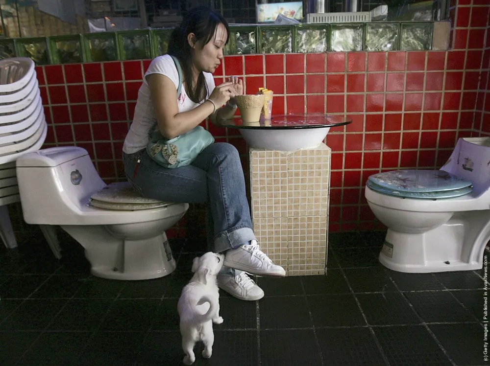 Many-sided China. Toilet-Theme