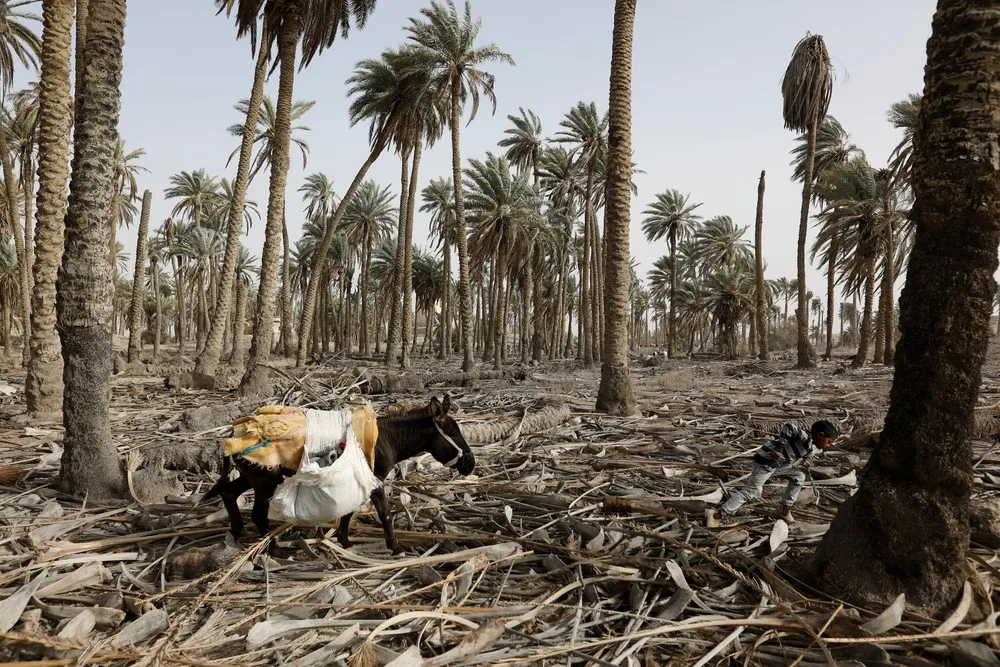 Palestinians Daily Life