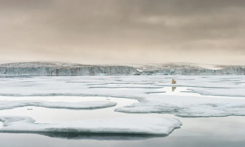 Cop26 Photographic Competition 2021