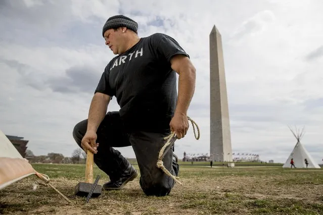 Aldo Seoane of the Yoeme tribe, with a group protesting the Dakota Access oil pipeline, helps set up teepees on the National Mall near the Washington Monument in Washington, Tuesday, March 7, 2017. A federal judge declined to temporarily stop construction of the final section of the disputed Dakota Access oil pipeline, clearing the way for oil to flow as soon as next week. (Photo by Andrew Harnik/AP Photo)