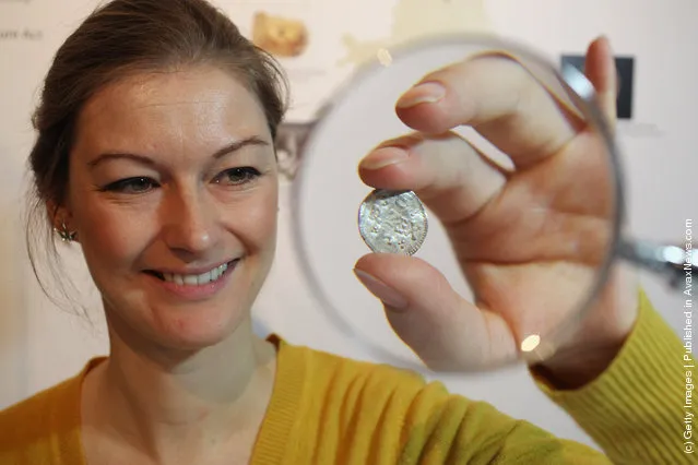 An employee of the British Museum examines a silver coin dating from 900 AD which is part of the Silverdale Viking Hoard