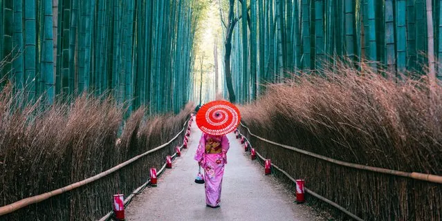 Woman with traditional kimono dress and umbrella walking along the pathway in the bamboo forest of Arashiyama, Kyoto prefecture, Japan. (Photo by Marco Bottigelli/Getty Images)