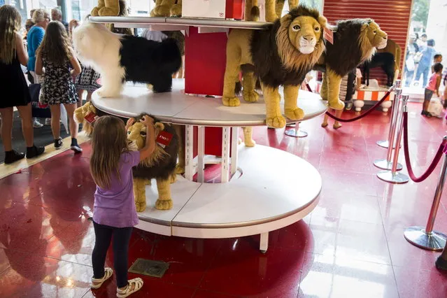 A young girl plays with a large stuffed lion July 15, 2015. (Photo by Lucas Jackson/Reuters)
