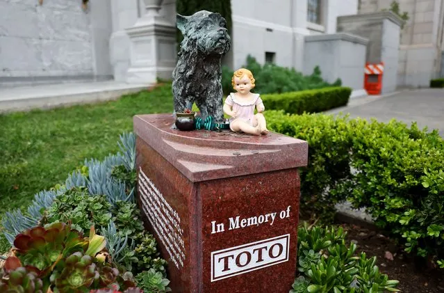 The Toto Memorial is viewed at the famed Hollywood Forever cemetery on March 31, 2022 in Los Angeles, California. The Los Angeles City Council unanimously voted to designate the 123-year-old cemetery, where movie legends such as Judy Garland, Mickey Rooney and Burt Reynolds are buried, an historic-cultural monument. (Photo by Mario Tama/Getty Images)