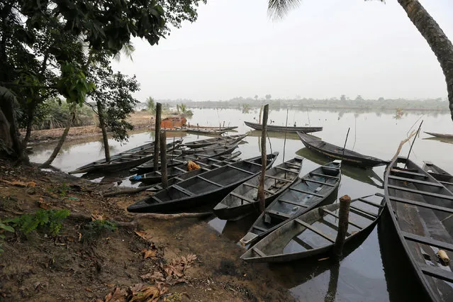 Canoes are seen at a bank of a polluted river along the creeks in the oil producing state of Rivers, Nigeria photo taken January 5, 2017. (Photo by Afolabi Sotunde/Reuters)