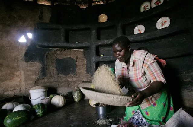 A  woman prepare sorghum for food at her home in drought-hit Masvingo, Zimbabwe, June 1,2016. (Photo by Philimon Bulawayo/Reuters)