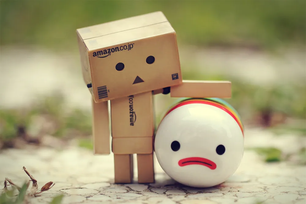 Wonderful Danbo!