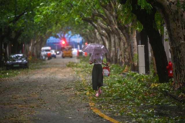 A woman walks past tree branches and leaves brought down during the passage of Typhoon Bebinca in Shanghai on September 16, 2024. The strongest storm to hit Shanghai in over 70 years made landfall on September 16, state media reported, with flights cancelled and highways closed as Typhoon Bebinca lashed the city with strong winds and torrential rains. (Photo by Hector Retamal/AFP)