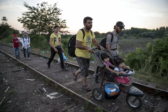 Syrian migrants walk along a railway track to cross the Serbian border with Hungary near the village of Horgos August 27, 2015. (Photo by Marko Djurica/Reuters)