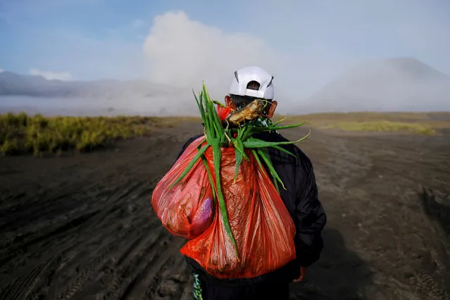 Mount Bromo spews ash in the distance as a Hindu villager carries offerings ahead of Kasada ceremony, when villagers and worshippers throw offerings such as livestock and other crops into the volcanic crater of Mount Bromo, in Probolinggo, Indonesia, July 20, 2016. (Photo by Reuters/Beawiharta)