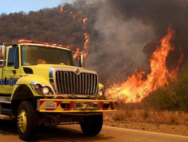 Fire fighters battle the so-called Sand Fire in the Angeles National Forest near Los Angeles, California, United States, July 25, 2016. (Photo by Gene Blevins/Reuters)