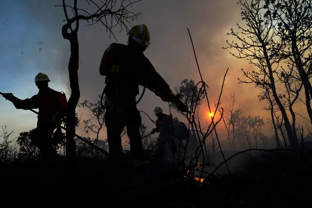 Firefighters work to put out large-scale fires in the native cerrado forest at the Parque Nacional in Brasilia, Brazil, Monday, September 5, 2022. (Photo by Eraldo Peres/AP Photo)