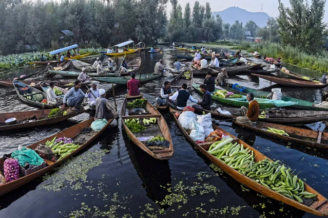 Kashmiri men gather with their boats laden with vegetables at the floating vegetable market on Dal Lake at dawn on August 28, 2017 in Srinagar, the summer capital of Indian administered Kashmir, India. Every morning Dal dwellers visit the floating vegetable market, at Guder, in the centre of the lake at the crack of dawn, with their boats laden with vegetables that supply different parts of the city. Most of the produce sold here is grown in floating gardens on the Dal Lake. The rich ecosystem of this wetland produces plenty of tomatoes, cucumbers and, Nadru or (lotus roots Nelumbo nucifera, a savoured delicacy of Kashmir people) etc. The haggling and exchange all last hardly an hour, soon after everyone disappears as if the market never existed. (Photo by Yawar Nazir/Getty Images)