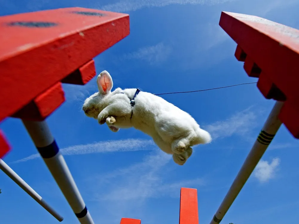 The Week in Pictures: Animals, September 6 – September 13, 2014