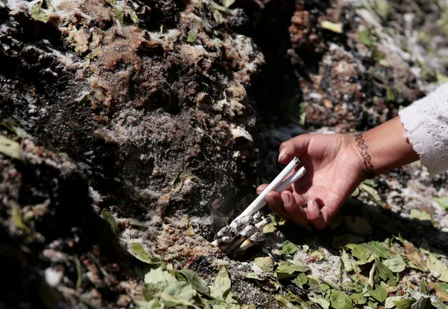 A woman puts cigarettes in a stone which bears an impression that locals refer to as “Devil face” before removing it, as a shrine frequented by indigenous witch doctors is cleared to expand a main highway between La Paz and El Alto, Bolivia, August 24, 2016. (Photo by David Mercado/Reuters)