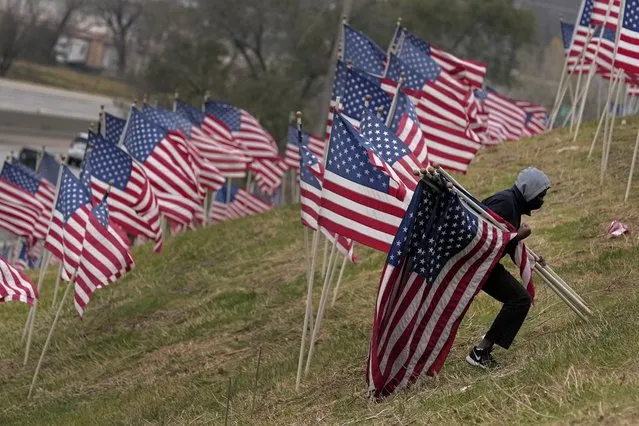 A volunteer gathers flags that were part of a display of 175 flags that were on a hillside overlooking Interstate 35 to commemorate Veterans Day Saturday, November 12, 2022, in Merriam, Kan. (Photo by Charlie Riedel/AP Photo)