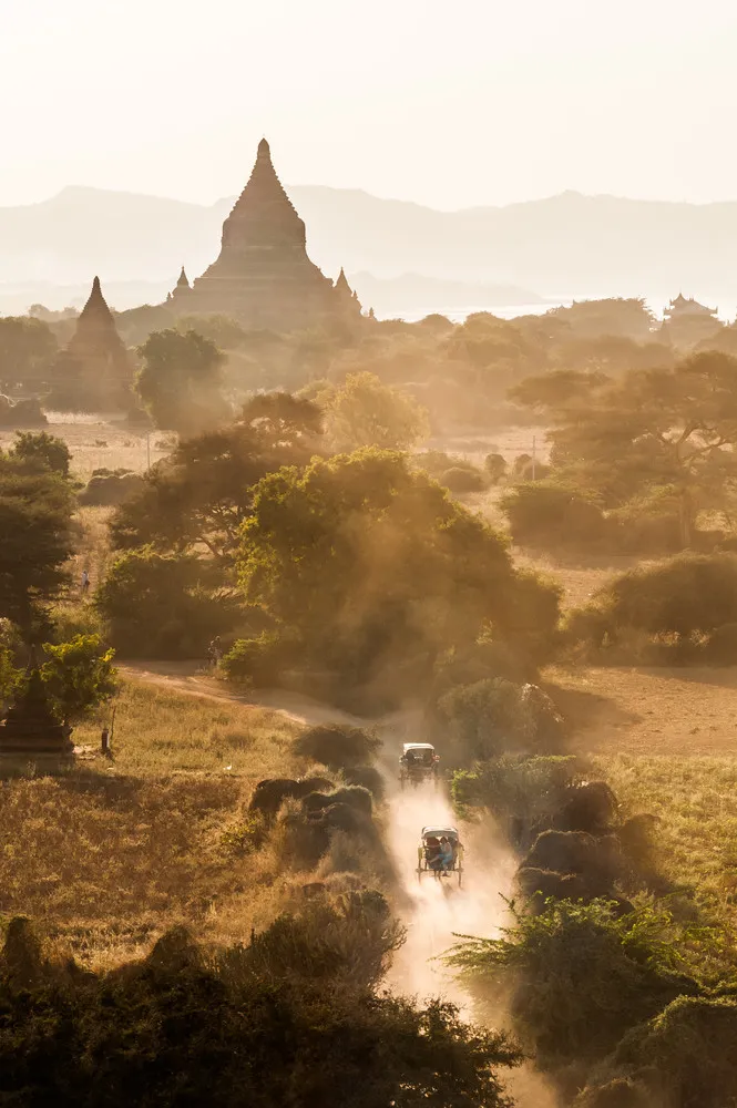 2014 National Geographic Photo Contest, Week 8