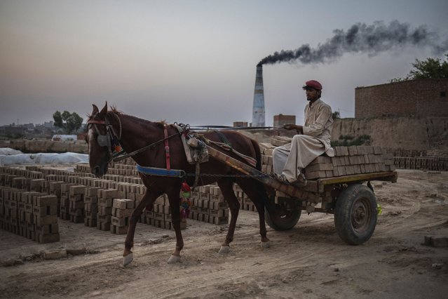 Shahzad transports bricks following their baking in a kiln during a heatwave in Islamabad, Pakistan, on May 16, 2025. (Photo by Adrees Latif/Reuters)