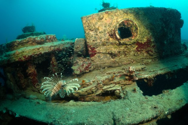 A view of the French warship “Paris 2”, which was sunk off the coast of Antalya's Kemer district in the First World War, is seen on April 06 2025. Paris 2, which is shown as one of the best 100 diving sites in the world, has 6 anti-aircraft guns and 2 torpedo tubes on it. The 50-meter-long, 8-meter-wide and 551-grosston wreck is located at a depth of 30 meters. (Photo by Tahsin Ceylan/Anadolu via Getty Images)
