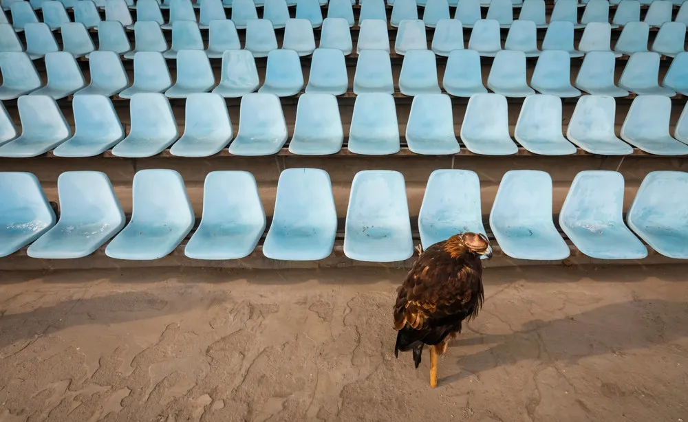 Kazakhstan's Top Eagle Hunter