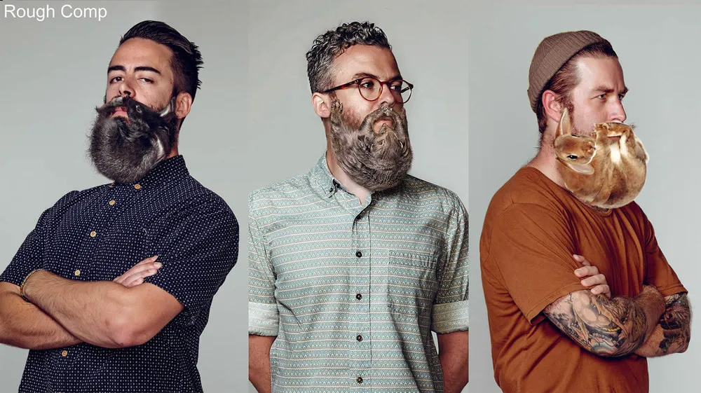 Animal Beards by David Kiefaber
