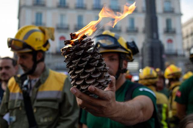 A firefighter holds a lit pine cone in protest in Madrid, Spain on August 2, 2025. Forest firefighters in Madrid have been on strike for 15 days in response to what they denounce as an outdated labor agreement that jeopardizes their safety. They are demanding better working conditions from the Community of Madrid during the fire season. The strike will extend until August 15 if no solutions are found. (Photo by Ignacio Lopez Isasmendi/ZUMA Press Wire/Rex Features/Shutterstock)