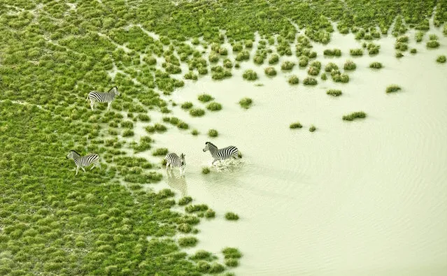 Botswana By Zack Seckler