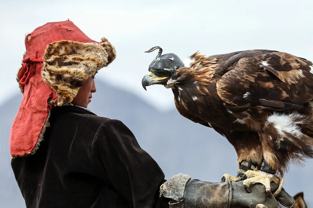 Golden Eagle Festival in Mongolia