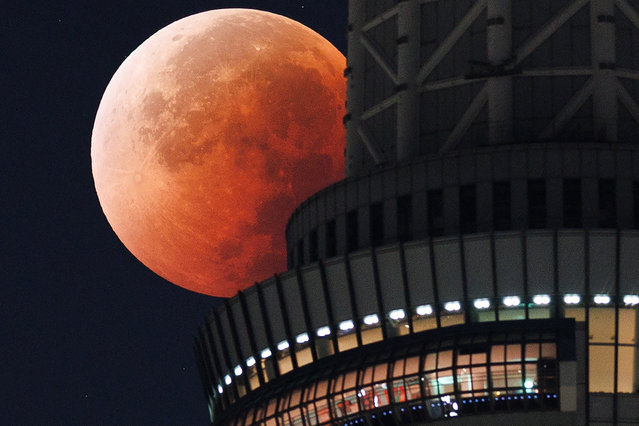 The Moon appears from behind the Tokyo Skytree during a total lunar eclipse in the middle of the night above the Japanese capital early on September 8, 2025. Stargazers enjoyed a “Blood Moon” overnight on September 7 during a total lunar eclipse visible across Asia and swathes of Europe and Africa. (Photo by JIJI Press/AFP Photo)