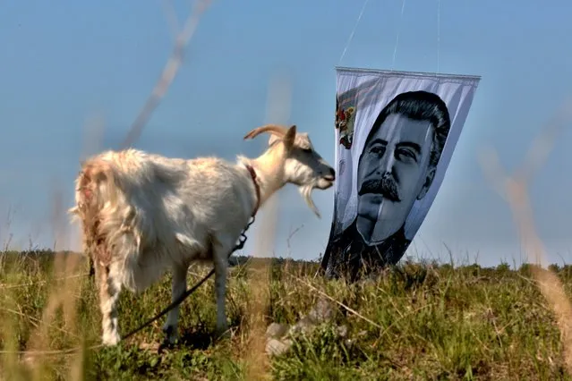 Russian Boxing Federation lifts a portrait of late Soviet leader Joseph Stalin with a hot air balloon, close to city of Belogorsk outside Simferopol, Crimea, on May 11, 2020, to mark the 75th anniversary of the end of World War II also called the Great Patriotic War, amid the coronavirus (COVID) pandemic. (Photo by AFP Photo/Stringer)