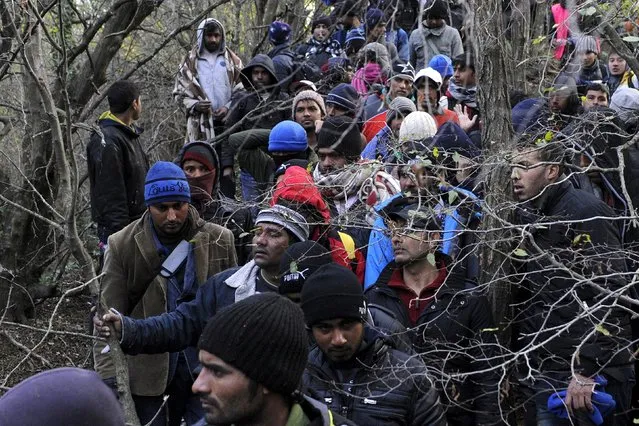Stranded migrants make their way through a forest as they try to cross the Greek-Macedonian border, near the village of Idomeni, Greece  December 2, 2015. (Photo by Alexandros Avramidis/Reuters)