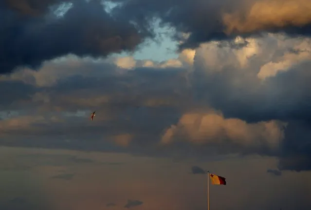 A seagull flies over a Maltese flag at sunset in Valletta, Malta, January 28, 2015. (Photo by Darrin Zammit/Reuters)