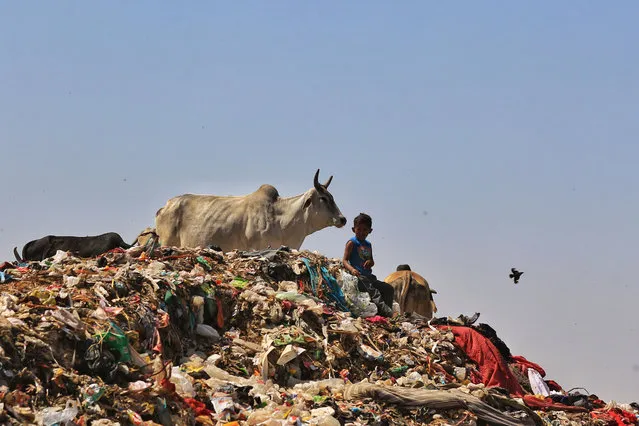 A boy sit in a heap of garbage, at Sevapura dumping yard in Jaipur, Rajasthan, India, Wednesday, April 07, 2021. (Photo by Vishal Bhatnagar/NurPhoto/Rex Features/Shutterstock)