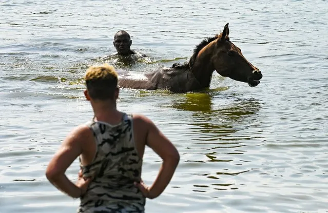 A man bathes a horse in a Havana lake on July 6, 2023. (Photo by Yamil Lage/AFP Photo)