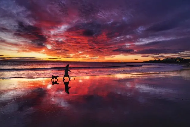 Stunning colours before sunrise as people walk their dogs on Tynemouth Longsands beach in Tynemouth on the North east coast on Tuesday, February 21, 2023. (Photo by Owen Humphreys/PA Images via Getty Images)