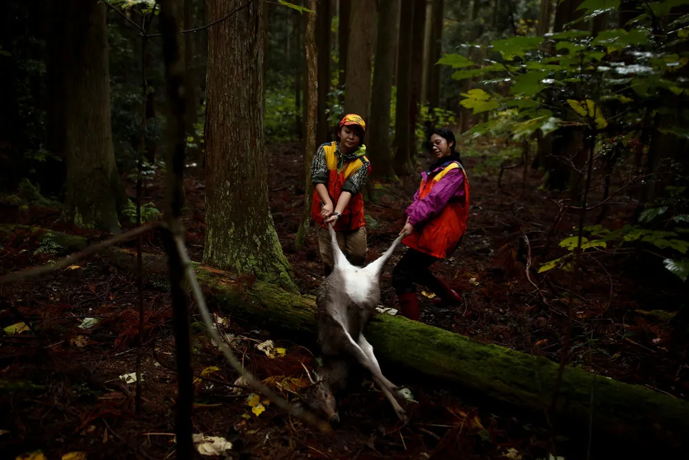 Japan's Female Hunters