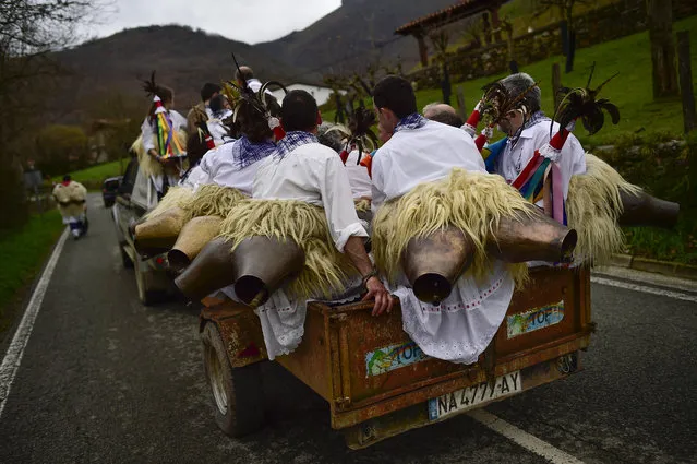 Joaldunaks return in a trailer to their town at the end of Carnival between of the Pyrenees villages of Ituren and Zubieta, northern Spain, Monday, February 1, 2016. In one of the most ancient carnivals in Europe, dating from before the Roman empire, companies of Joaldunak (cowbells) made up of residents of two towns, Ituren and Zubieta, parade the streets costumed in sandals, lace petticoats, sheepskins around the waist and shoulders, coloured neckerchiefs, conical caps with ribbons and a hyssop of horsehair in their right hands and cowbells hung across their lower back. (Photo by Alvaro Barrientos/AP Photo)