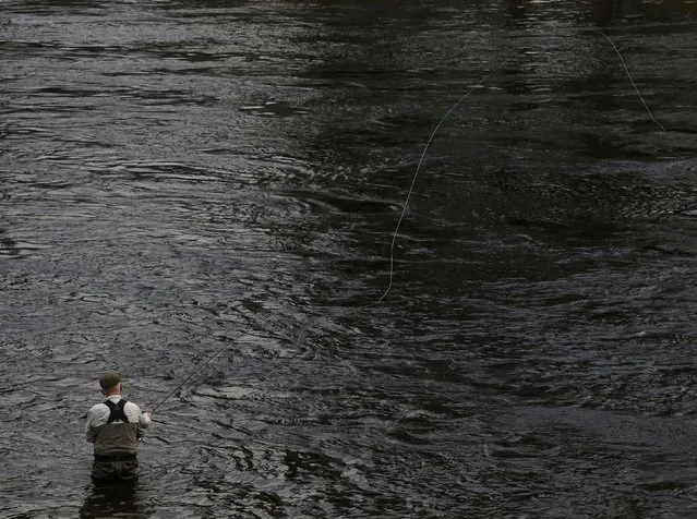 An angler casts his line on the opening day of the salmon fishing season on the River Tay at Kenmore in Scotland, Britain January 16, 2017. (Photo by Russell Cheyne/Reuters)