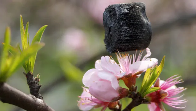 Carbon Aerogel The New Lightest Material