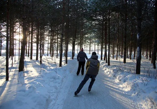 People skate through the forest at Domaine de la Foret Perdu or the Lost Forest, a 15km weaving and zambonied forest trail made for skating in Notre-Dame-du-Mont-Carmel, near Three Rivers, Quebec January 29, 2017. (Photo by Christinne Muschi/Reuters)