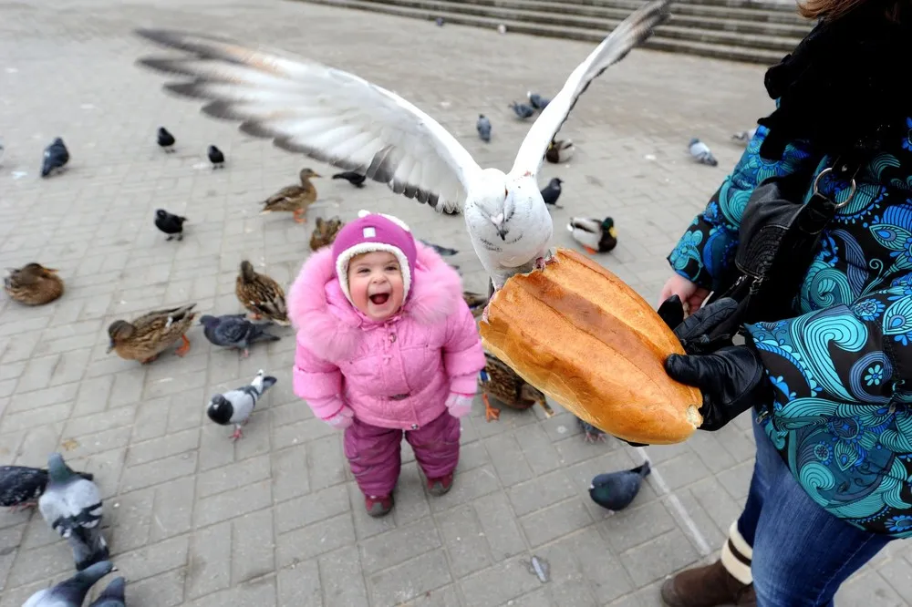 The Week in Pictures: Animals, February 1 – February 7, 2014