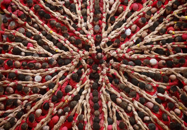 Castellers Colla Joves Xiquets de Valls start to form a human tower called “castell” during a biannual competition in Tarragona city, Spain, October 5, 2014. The formation of human towers is a tradition in the area of Catalonia. (Photo by Albert Gea/Reuters)